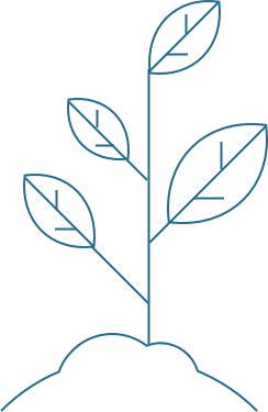 Duurzaam FSC drukwerk